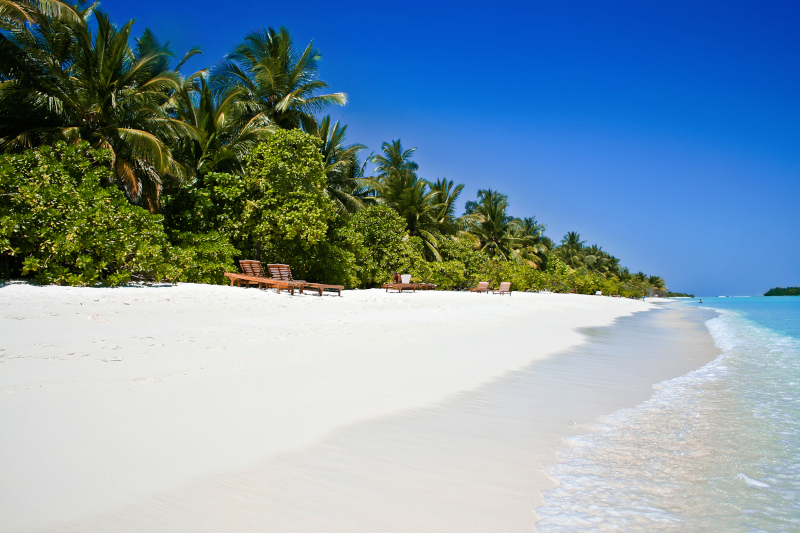 Maldive Beach (2)