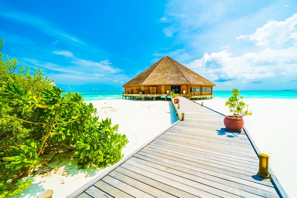 albero-di-vacanza-splendida-laguna-estate_1203-5340