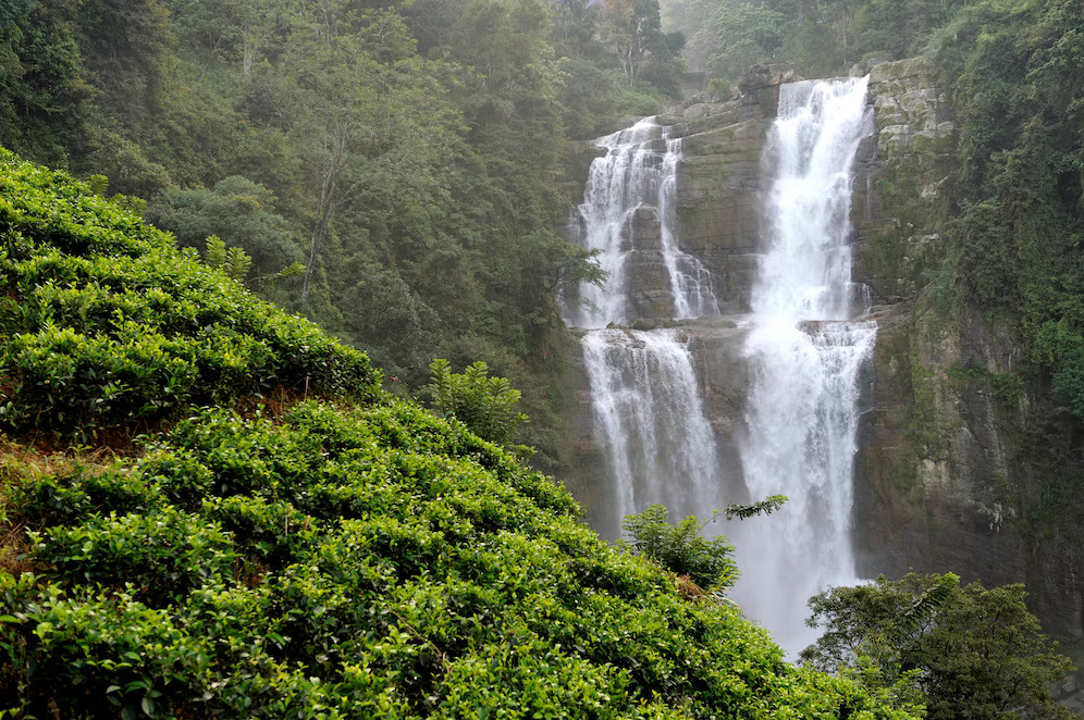 bella-cascata-di-ramboda-nell-isola-dello-sri-lanka_167946-169