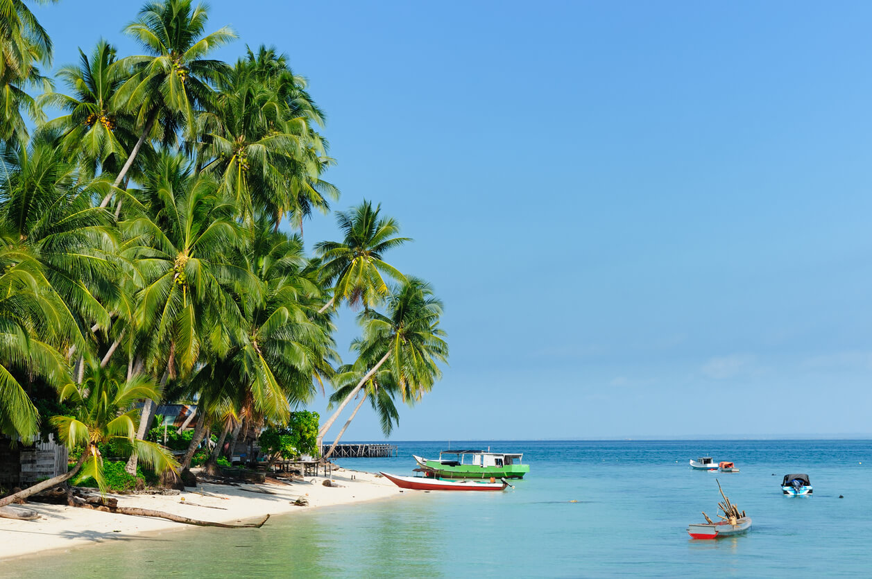 borneo-partie-indonesienne-kalimantan_829